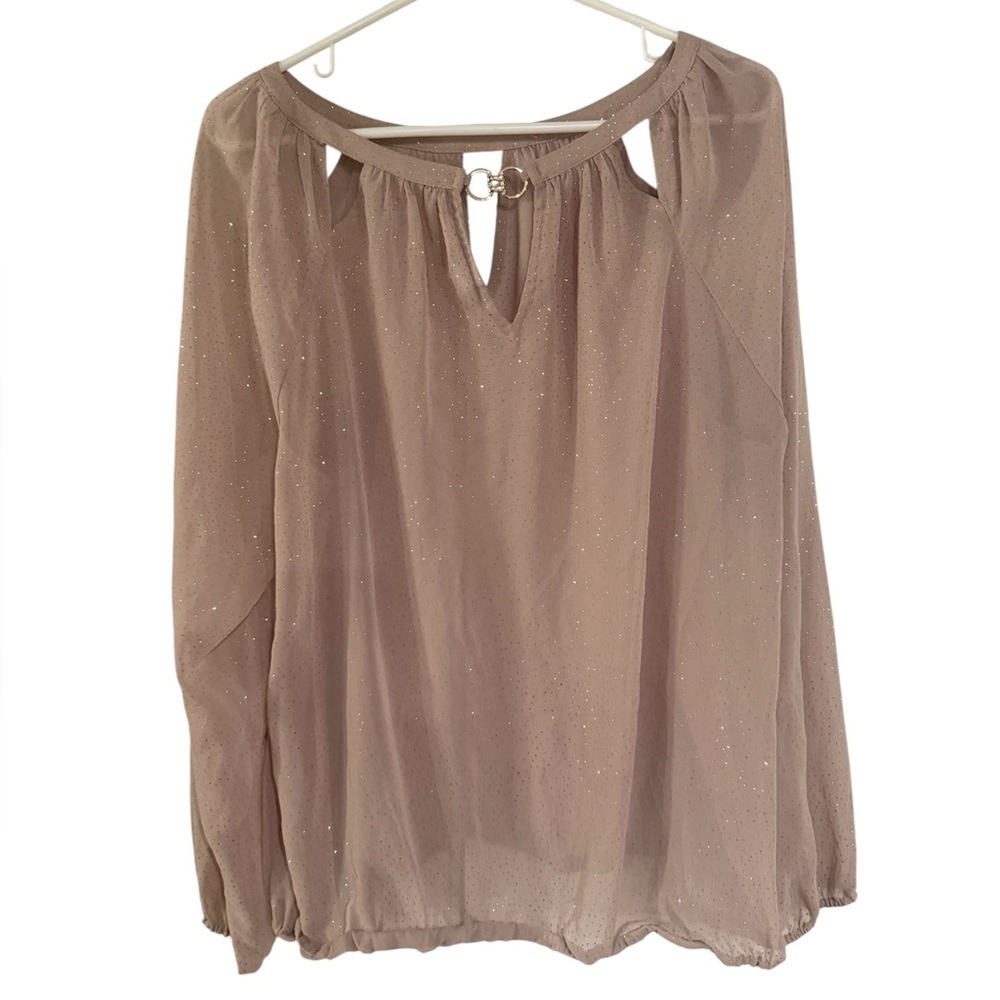 Jennifer Lopez JLOSparkling Blush Champagne Sheer Blouse Size XL - Picture 4 of 9